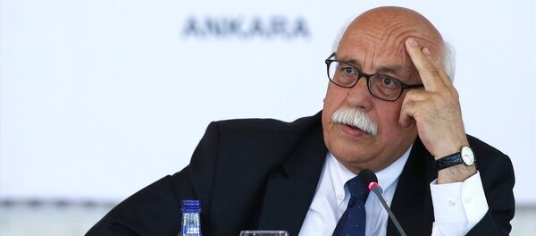 Kültür ve Turizm Bakanı Nabi Avcı - Sputnik Türkiye