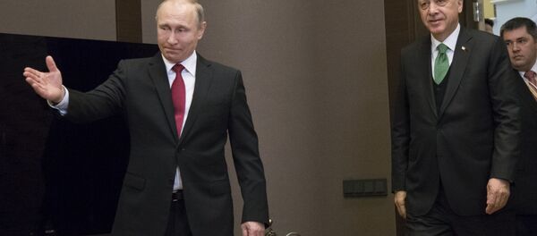 Erdoğan ve Putin, Soçi'de görüştü - Sputnik Türkiye