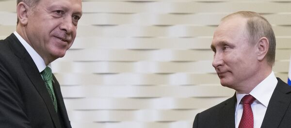Erdoğan ve Putin, Soçi'de görüştü - Sputnik Türkiye