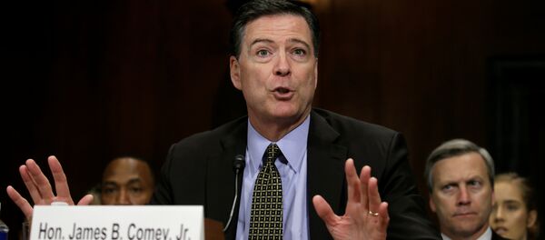 FBI Direktörü James Comey - Sputnik Türkiye