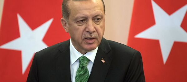 Türkiye Cumhurbaşkanı Recep Tayyip Erdoğan - Sputnik Türkiye