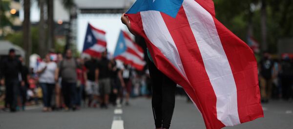 Porto Riko'da hükümetin kemer sıkma önlemlerini protesto eden bir eylemci - Sputnik Türkiye