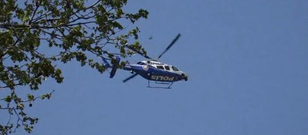 İstanbul'da 'Kurt Kapanı 3' denetimi - Sputnik Türkiye