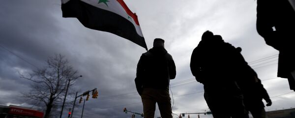 Suriye Bayrağı - Sputnik Türkiye