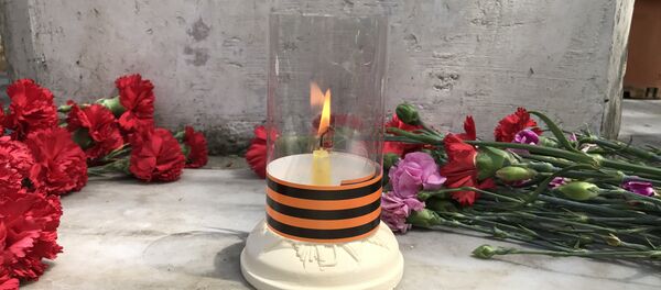 İstanbul'da Zafer Günü coşkusu - Sputnik Türkiye