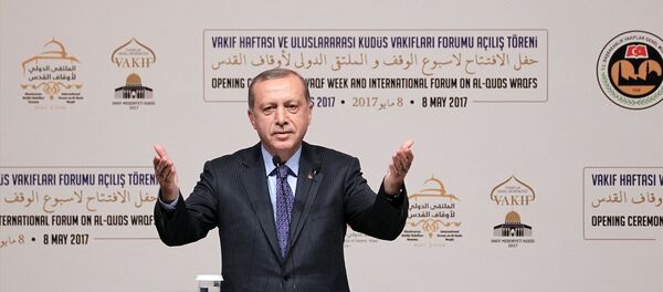 Cumhurbaşkanı Recep Tayyip Erdoğan - Sputnik Türkiye