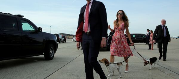 ABD Başkanı Donald Trump'ın oğlu Eric Trump - Sputnik Türkiye