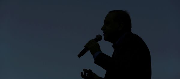 Cumhurbaşkanı Recep Tayyip Erdoğan - Sputnik Türkiye