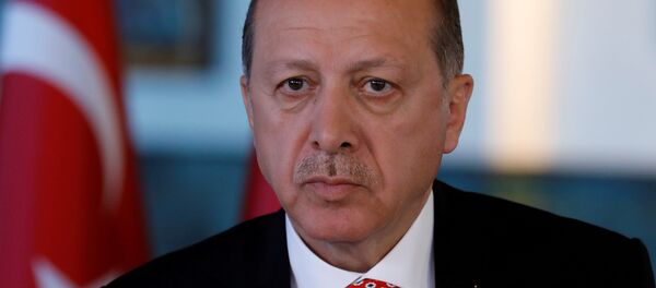 Cumhurbaşkanı Recep Tayyip Erdoğan - Sputnik Türkiye