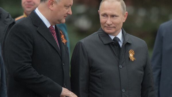 Moldova Cumhurbaşkanı İgor Dodon ve Rusya Devlet Başkanı Vladimir Putin - Sputnik Türkiye