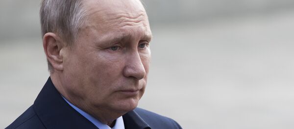 Rusya Devlet Başkanı Vladimir Putin - Sputnik Türkiye