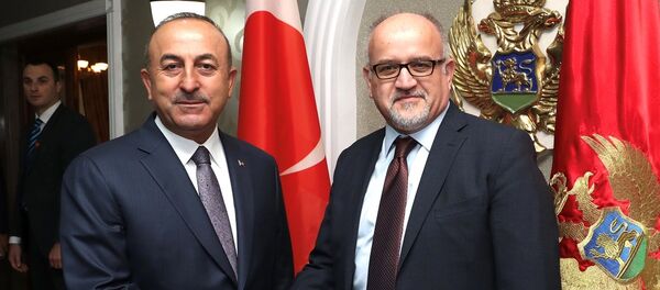 Mevlüt Çavuşoğlu - Srdjan Darmanoviç - Sputnik Türkiye