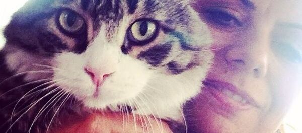 CHP'nin kedisi Şero CHP'nin kedisi Şero - Sputnik Türkiye