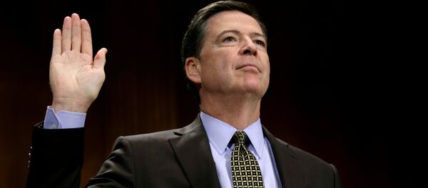 FBI Direktörü James Comey - Sputnik Türkiye