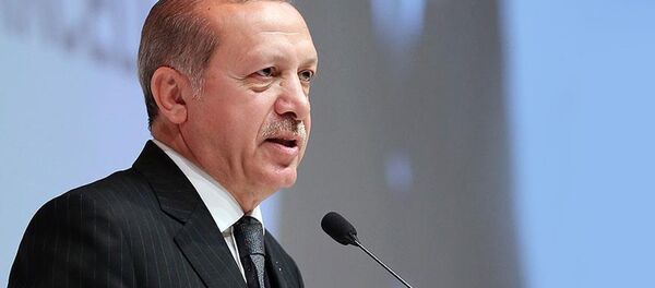 Cumhurbaşkanı Recep Tayyip Erdoğan - Sputnik Türkiye