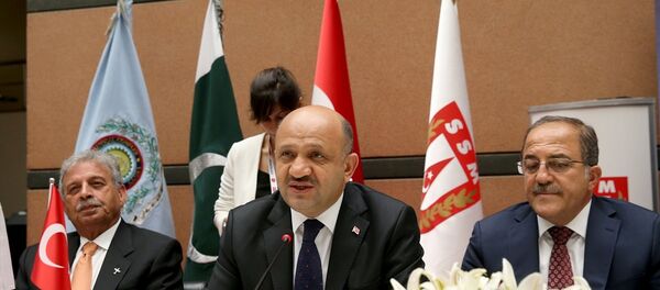 Savunma Bakanı Fikri Işık - Sputnik Türkiye