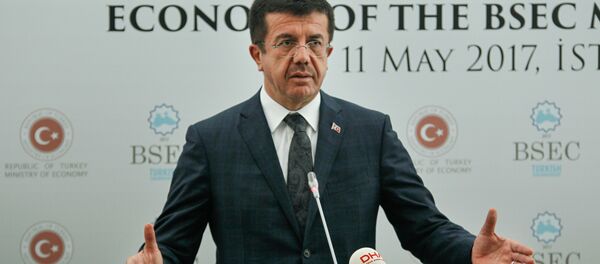 Ekonomi Bakanı Nihat Zeybekci - Sputnik Türkiye