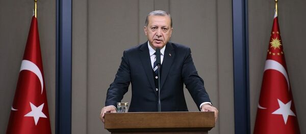 Cumhurbaşkanı Recep Tayyip Erdoğan - Sputnik Türkiye