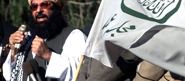 Pakistan Senatosu Başkan Yardımcısı Abdulgafur Haydari - Sputnik Türkiye