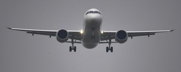 Yolcu uçağı - Sputnik Türkiye