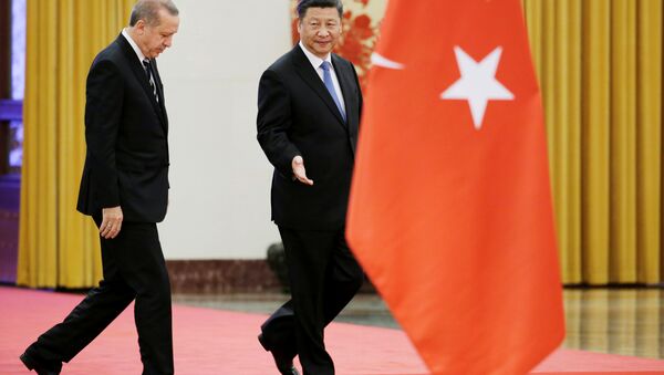 Cumhurbaşkanı Recep Tayyip Erdoğan- Çin Devlet Başkanı Şi Cinping - Sputnik Türkiye