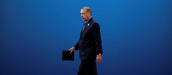Recep Tayyip Erdoğan / Çin - G20 Liderler Zirvesi - Sputnik Türkiye