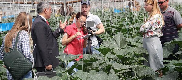 Rus tarım heyeti Antalya'da - Sputnik Türkiye