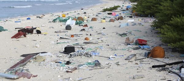 Güney Pasifik’teki Henderson Adası - Sputnik Türkiye