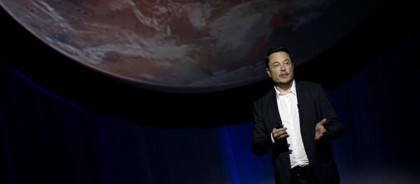 Tesla Motors CEO'su Elon Musk - Sputnik Türkiye