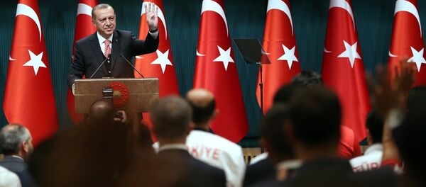 Cumhurbaşkanı Recep Tayyip Erdoğan Cumhurbaşkanı Recep Tayyip Erdoğan - Sputnik Türkiye