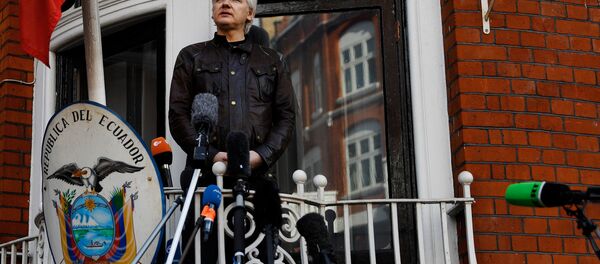 WikiLeaks kurucusu Julian Assange - Sputnik Türkiye