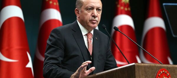 Cumhurbaşkanı Recep Tayyip Erdoğan - Sputnik Türkiye