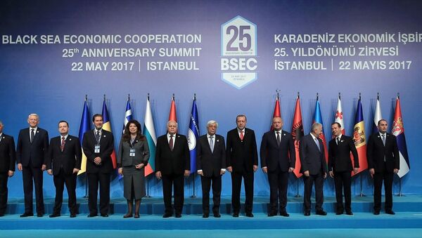 KEİ 25. Yıldönümü Zirvesi - Sputnik Türkiye