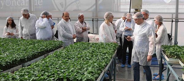 Rus tarım heyeti Mersin’de - Sputnik Türkiye