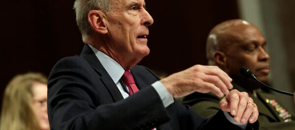 ABD Savunma İstihbarat Ajansı (DIA) Direktörü Orgeneral Vincent Stewart - Sputnik Türkiye