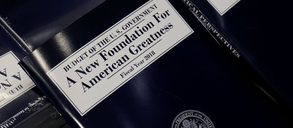 Trump'ın 2018 mali yılı bütçe teklifi - Sputnik Türkiye