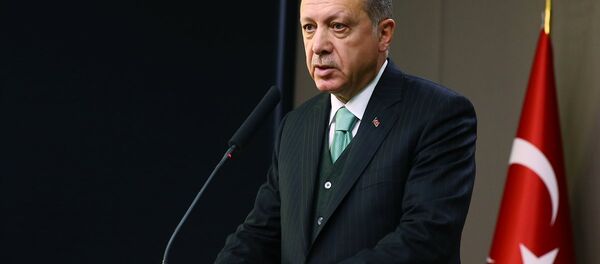 Cumhurbaşkanı Recep Tayyip Erdoğan - Sputnik Türkiye