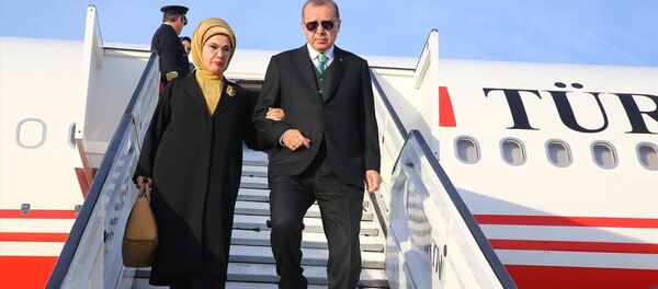 Cumhurbaşkanı Recep Tayyip Erdoğan - Sputnik Türkiye