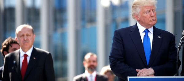 ABD Başkanı Donald Trump - Sputnik Türkiye