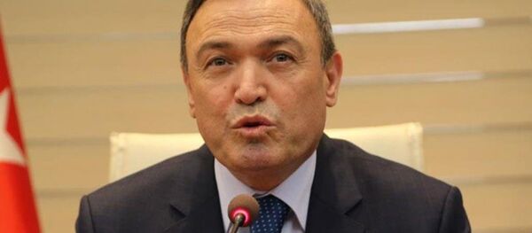 Akdeniz Üniversitesi (AÜ) eski Rektörü Prof. Dr. İsrafil Kurtcephe - Sputnik Türkiye