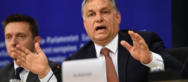 Macaristan Başbakanı Viktor Orban - Sputnik Türkiye