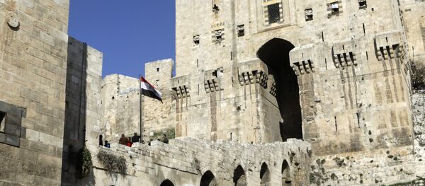 Halep Kalesi - Sputnik Türkiye