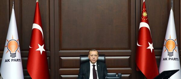 Cumhurbaşkanı Recep Tayyip Erdoğan Cumhurbaşkanı Recep Tayyip Erdoğan - Sputnik Türkiye