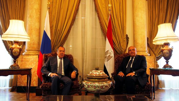 Rusya Dışişleri Bakanı Sergey Lavrov ile Mısırlı mevkidaşı Semih Şükri - Sputnik Türkiye