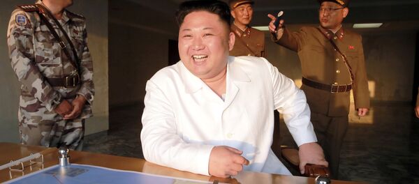 Kuzey Kore lideri Kim Jong-un - Sputnik Türkiye