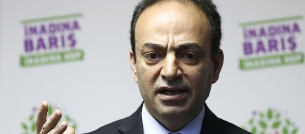 HDP Sözcüsü Osman Baydemir - Sputnik Türkiye