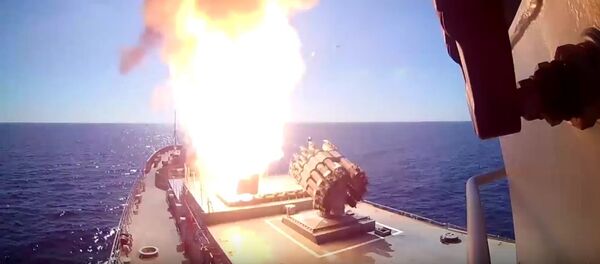 Rusya: Palmira’daki IŞİD hedeflerini Akdeniz'den vurduk - Sputnik Türkiye