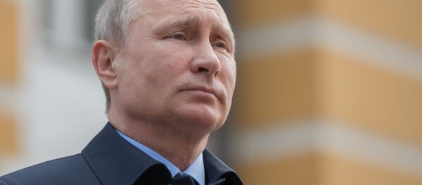Rusya Devlet Başkanı Vladimir Putin - Sputnik Türkiye