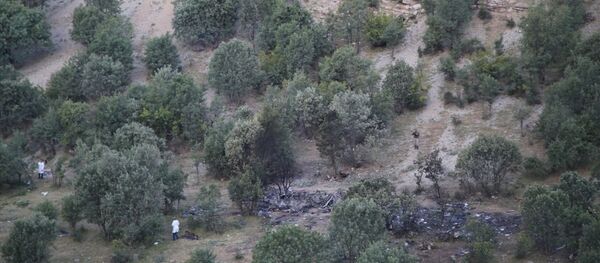 Şırnak'ta düşen helikopterin enkazı - Sputnik Türkiye