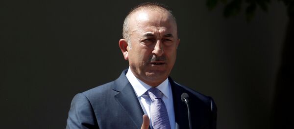 Mevlüt Çavuşoğlu - Sputnik Türkiye